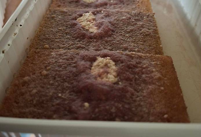 Microfex Futterwürmchen