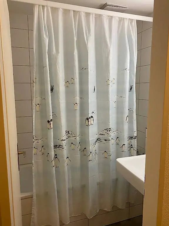 Duschvorhang L 170 cm x B 178 cm, wie NEU