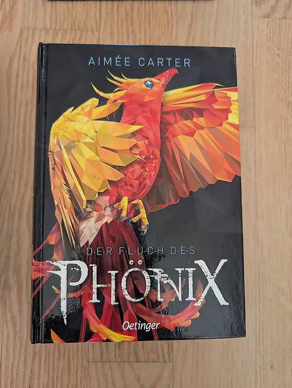 Jugendbuch - Der Fluch des Phönix