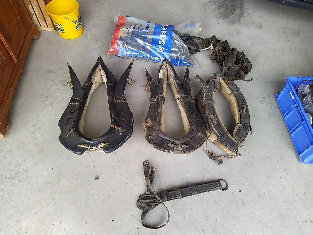 3 Stk Kummet - Kummt mit Geschirr wie auf Foto