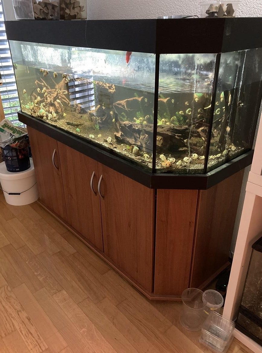 Ca. 350l Aquarium mit Untermöbel GRATIS abzugeben