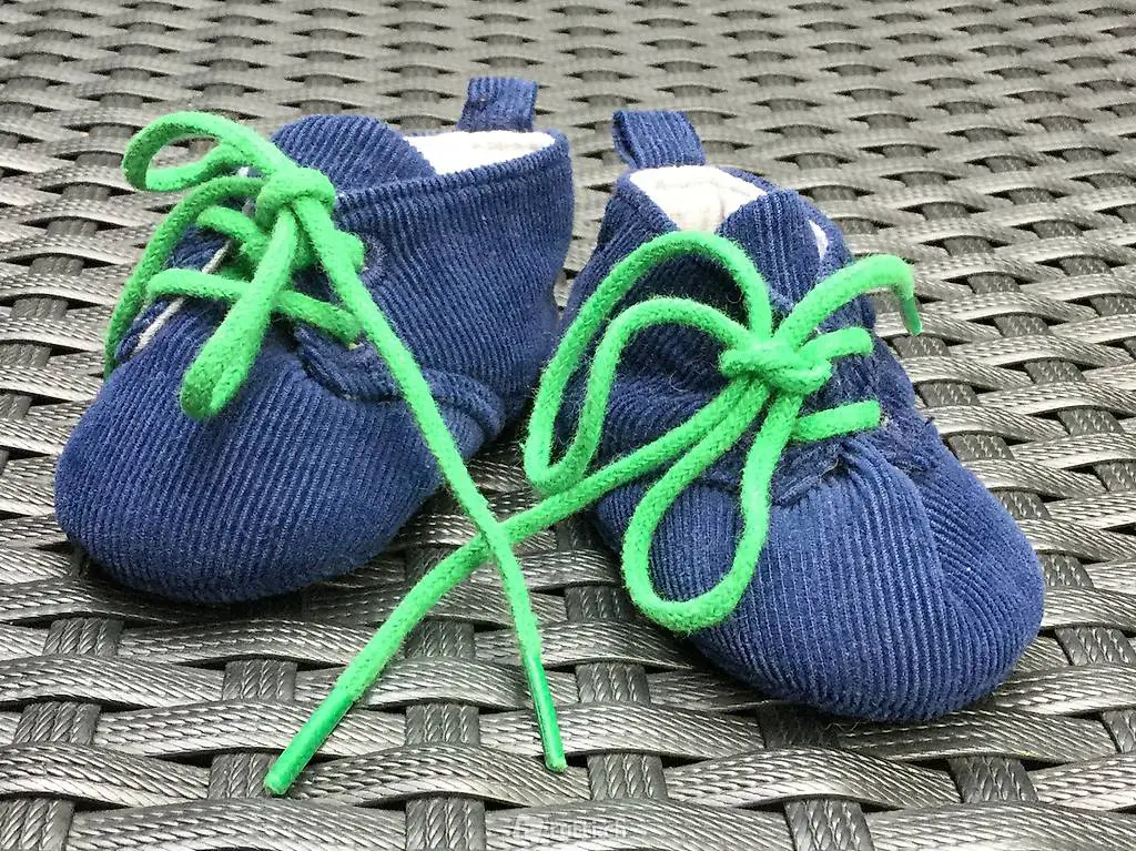 Neue Babyfinken 10/12