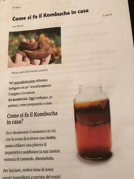 Kombucha