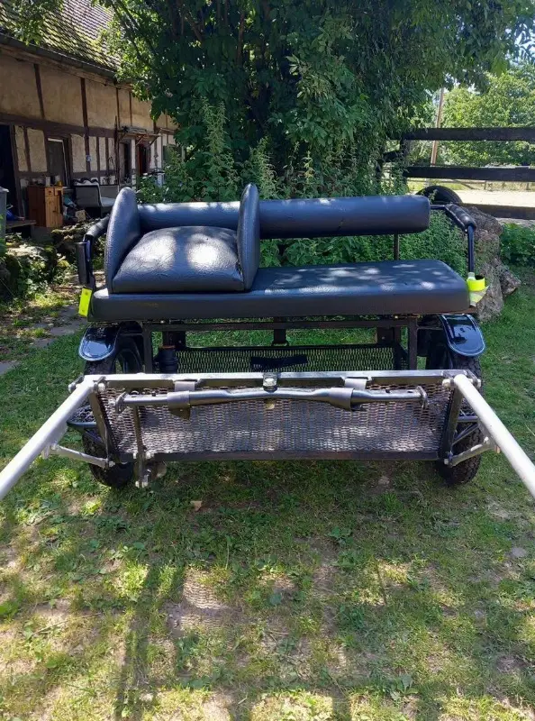 Shetty Sulky / Gig KUTZMANN zu verkaufen