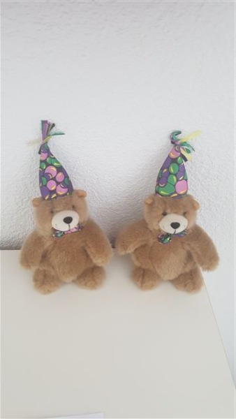 2 Bärli mit Zauberhut