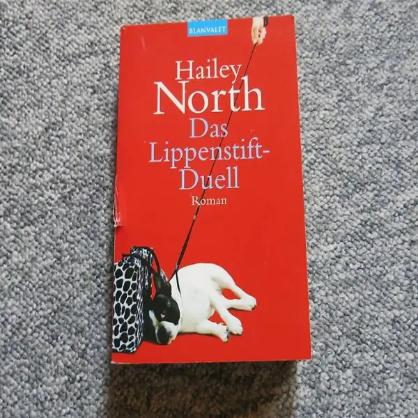  Hailey North - Das Lippenstift-Duell / Roman