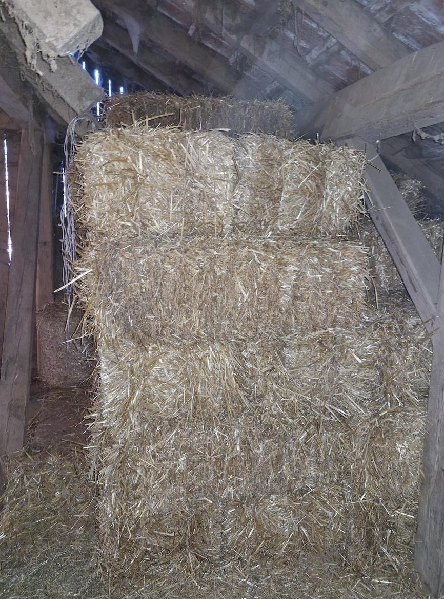Weizenstroh Kleinballen zu verkaufen