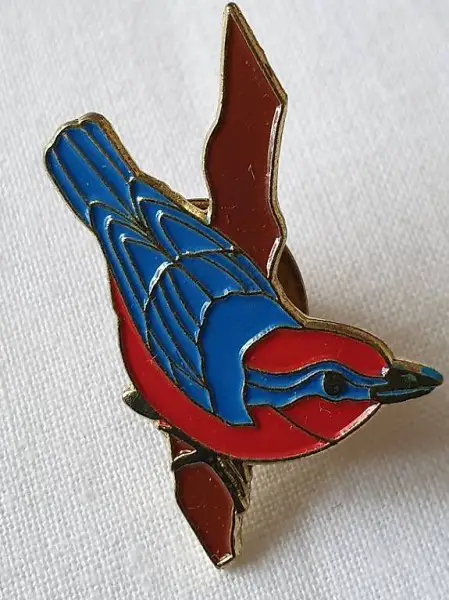  Eisvogel PiN