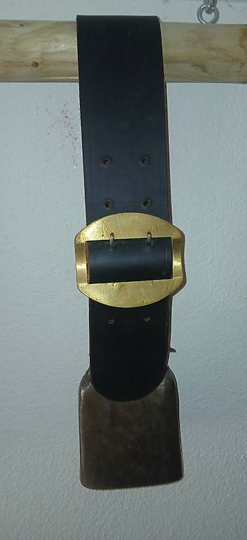 Omlin Kuhglocke, Glocke, Schelle, Bisse