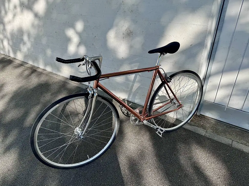 Singlespeed - Bullhorn-Lenker, Brooks C15