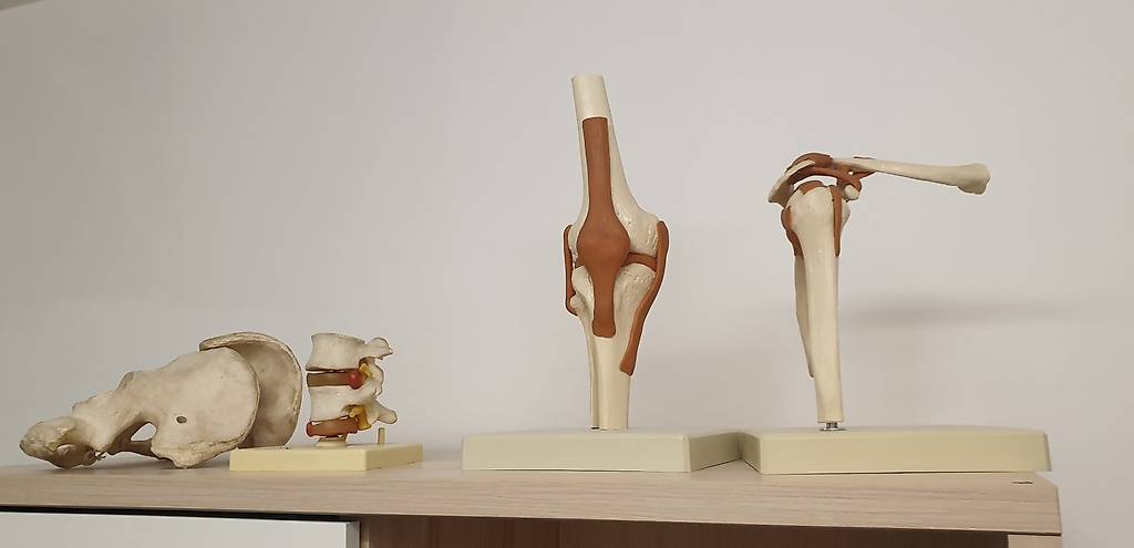 Fisioterapisti, terapisti, agopuntori e personal trainer