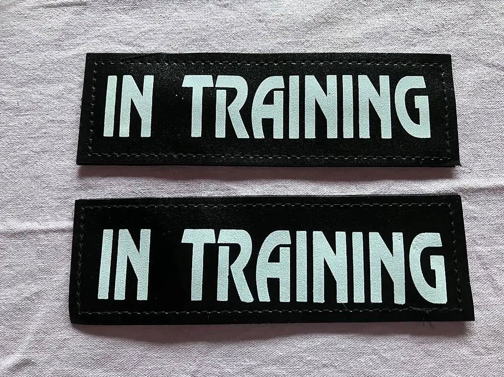 Julius K9 Geschirr Klett Sticker in training