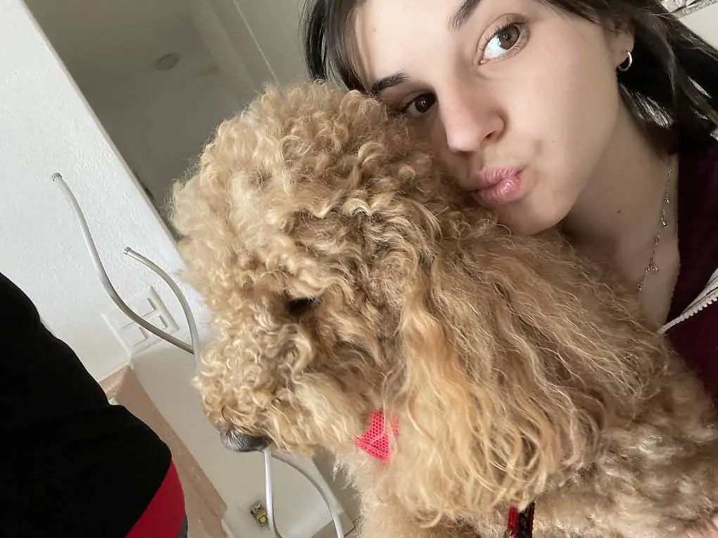 Dog sitter/Dog walking