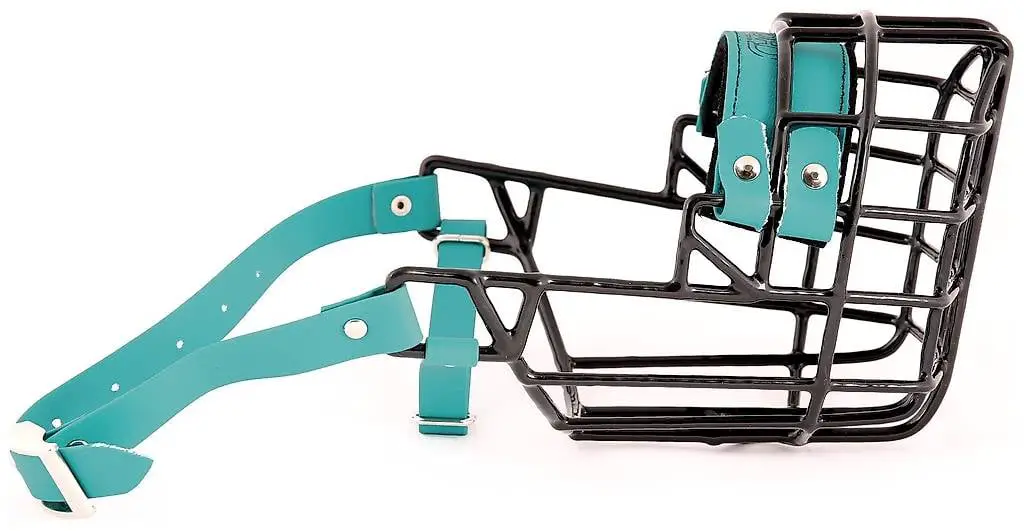 Maulkorb Draht gummiert Pit Bull Terrier Rüde o. Ä. (Chopo)