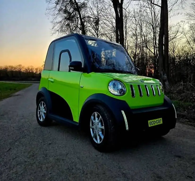 NEU: Electro Micro Car