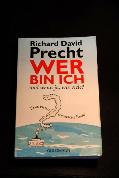 Wer bin ich und wenn ja, wie viele? (Philosophie)