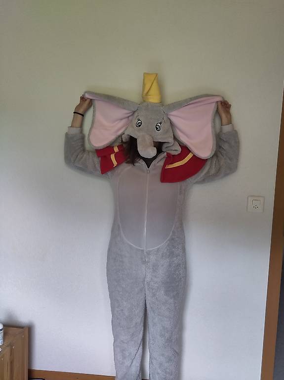 Fasnacht / Kostüm / Dumbo (fliegender Elefant) / Fasching