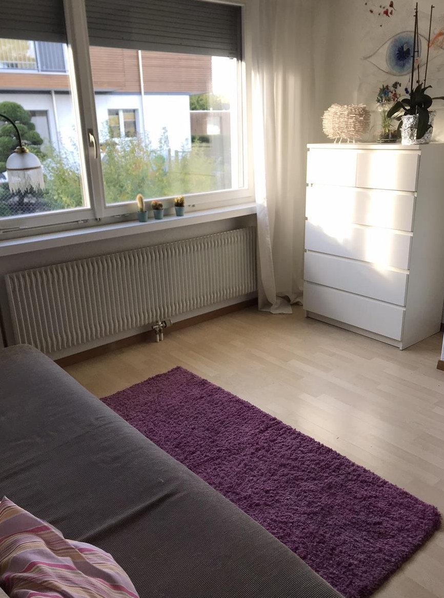 Biete Einliegerwohnung in WG nahe Zürich & Naherholung