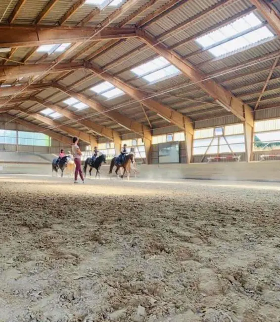 Pferdeboxen mit Auslauf im Herzen von Luzern