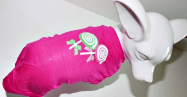  M+F Shirt LOLLYPOP für chihuahua