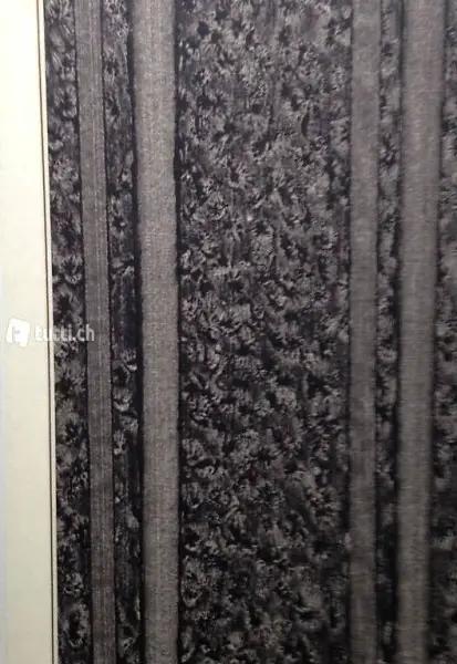  Tagebuchblätter ( Luxusausgabe )