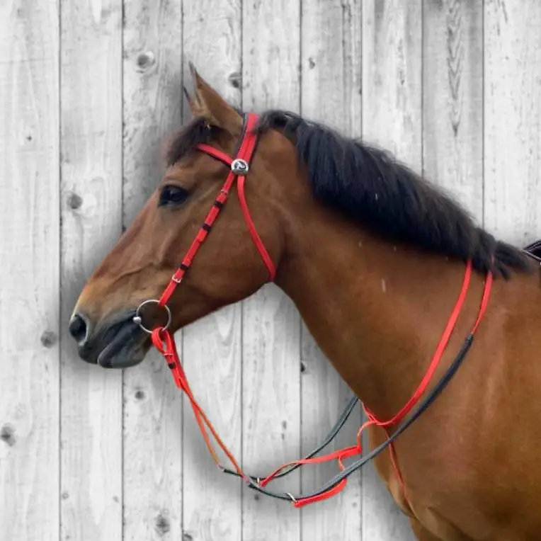 Kunststoff Zaumzeug für Pferde ROT | mit Martingal