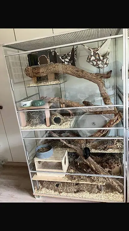 Terrarium von Top Degu