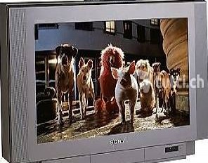 Téléviseur SONY KV32FX60B