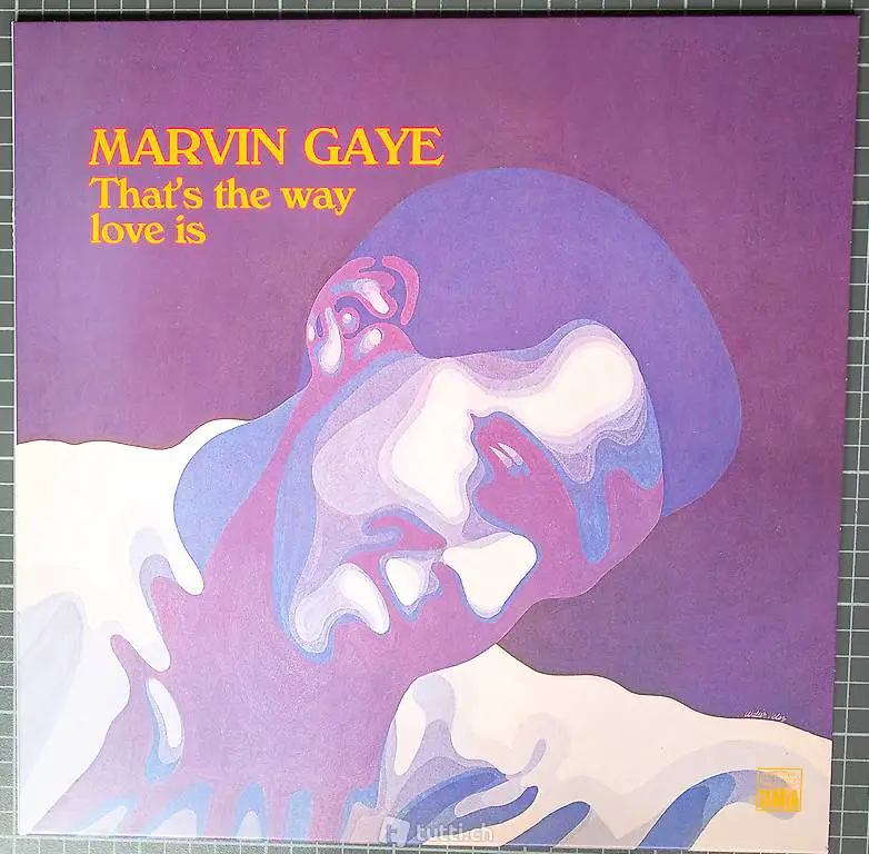 Lp MARVIN GAYE that"s the way love is