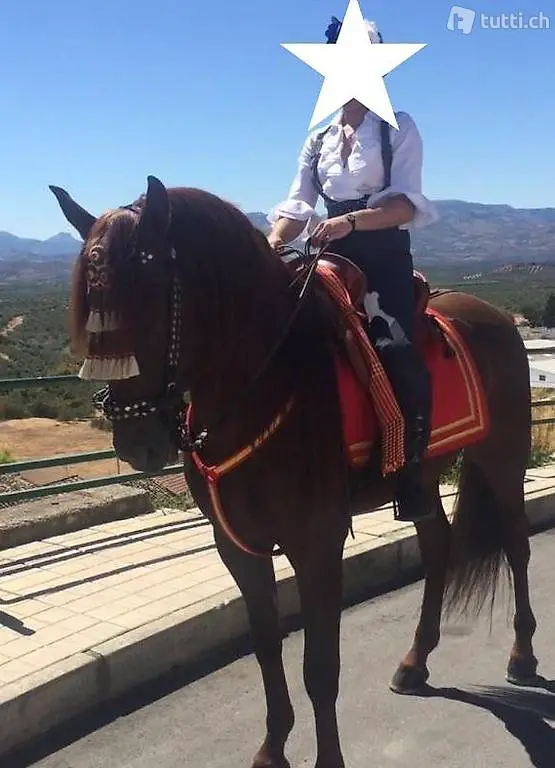 Mezza pensione (Fida)