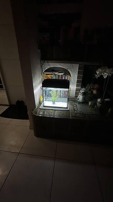 24Liter Aquarium zu verkaufen - mit allem Zubehör