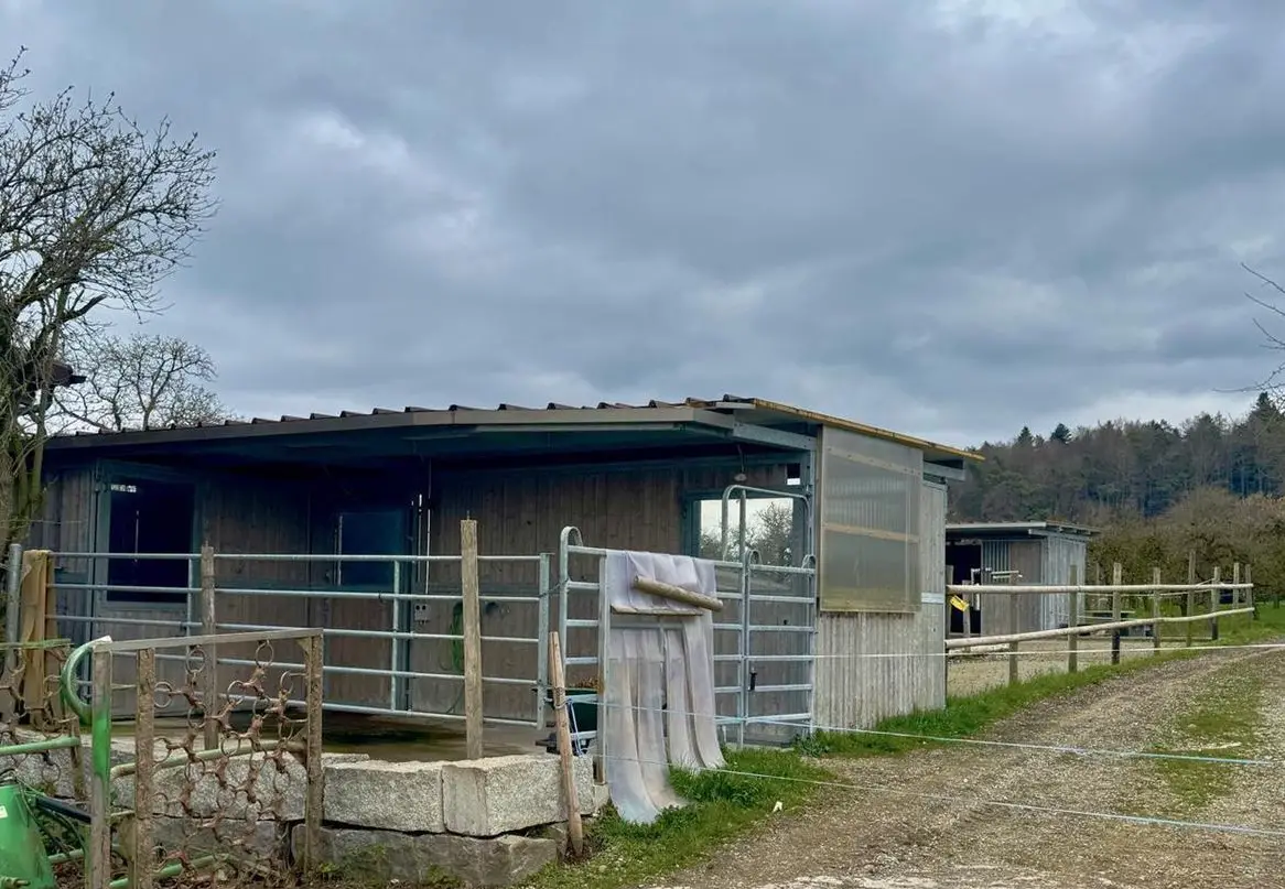 Selbstversorger Stall für bis zu 3 Pferde zu vermieten