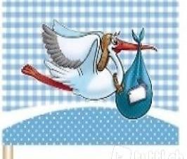 Aperopicker / Babyshower Party Holz Picker Boy