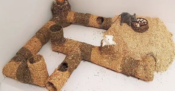  Tunnelsystem Starterpaket