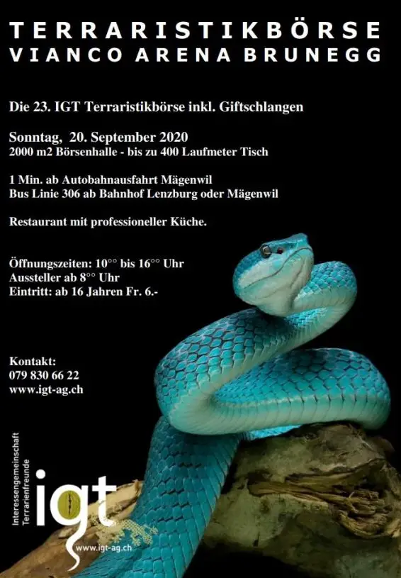 23. IGT Börse Brunegg in der Vianco Halle