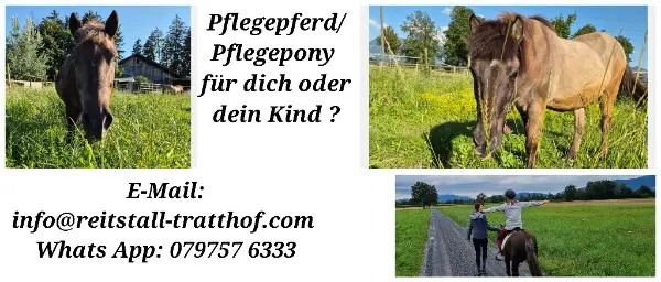 Pflegebeteiligung Reitbeteiligung