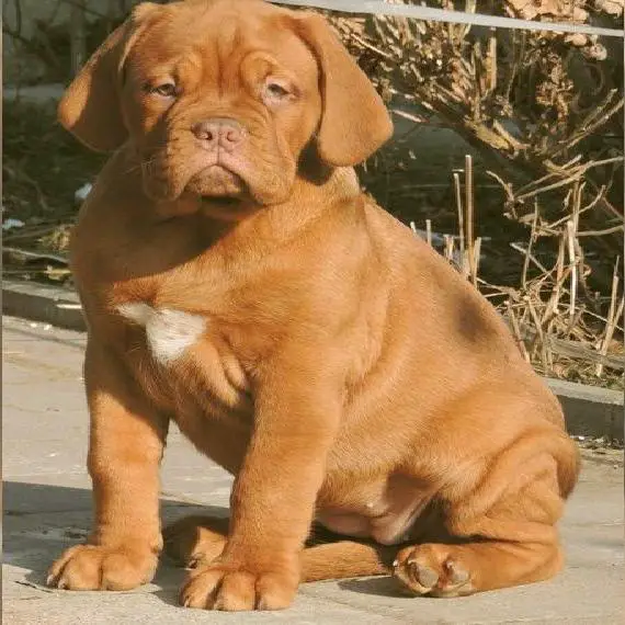 Ich suche eine liebevolle Familie