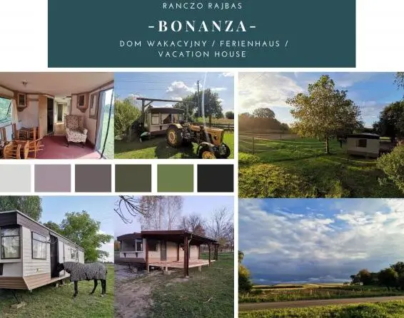 Bieten Reitferien für Fortgeschrittene in Polen