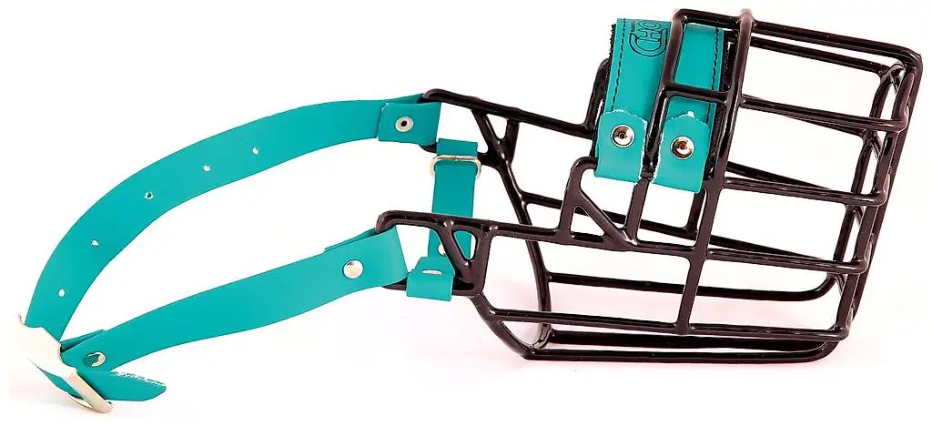 Maulkorb Draht gummiert Collie Hündin o. ä. Rassen (Chopo)