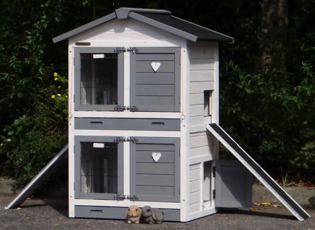 Conigliera per 2-4 conigli - 2