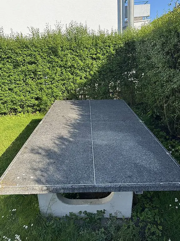 Tischtennis Tisch