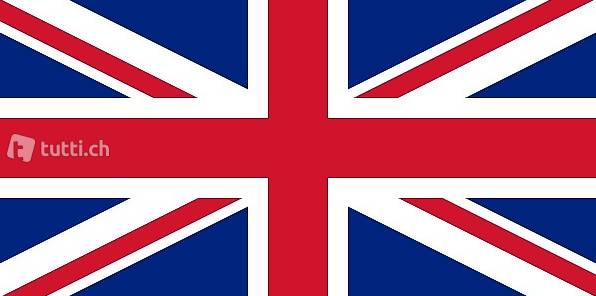 inglese esami università (usi, supsi, ielts) - anche online