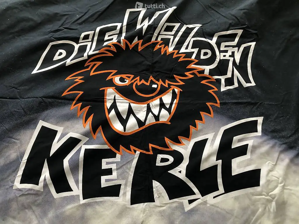 Die Wilden Kerle Bettwäsche D: 190x134 /// K: 81/75