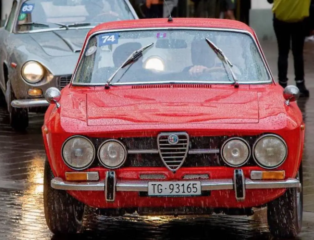 TG 93165 Autonummer Kontrollschild