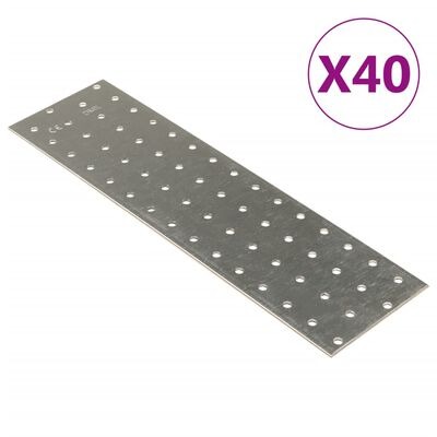  vidaXL Lochplatten 40 Stk. 2 mm 300x80 mm Verzinkter Stahl