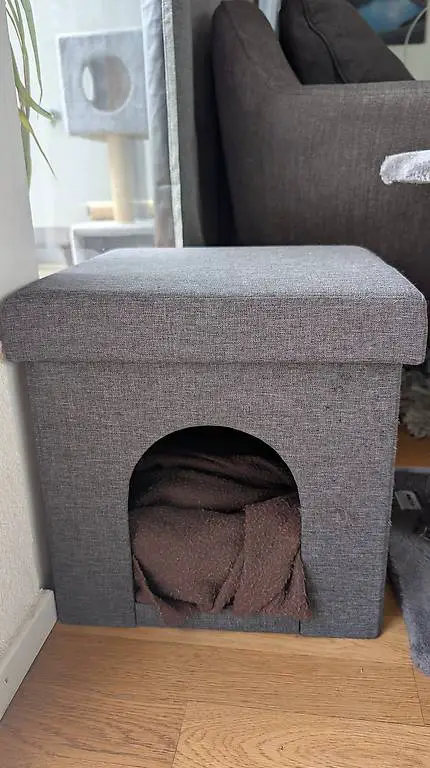 Katzenhöhle abzugeben