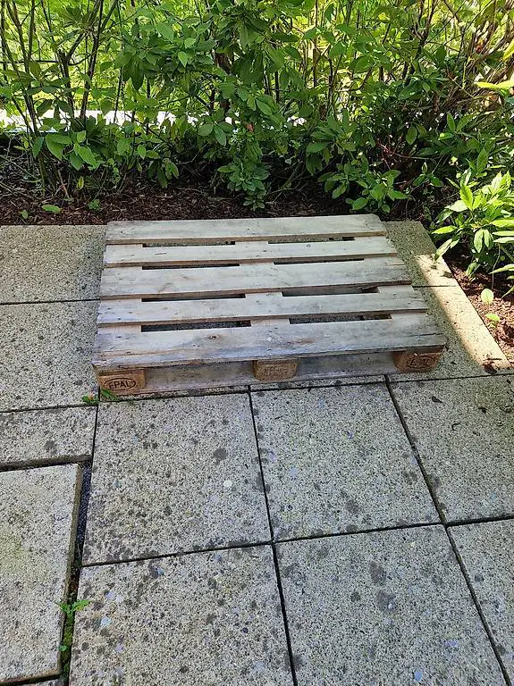 Epal euro pallet gratis