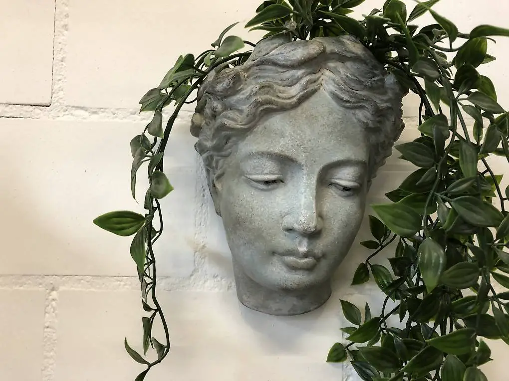 WandPflanzKopf Valo H21cm