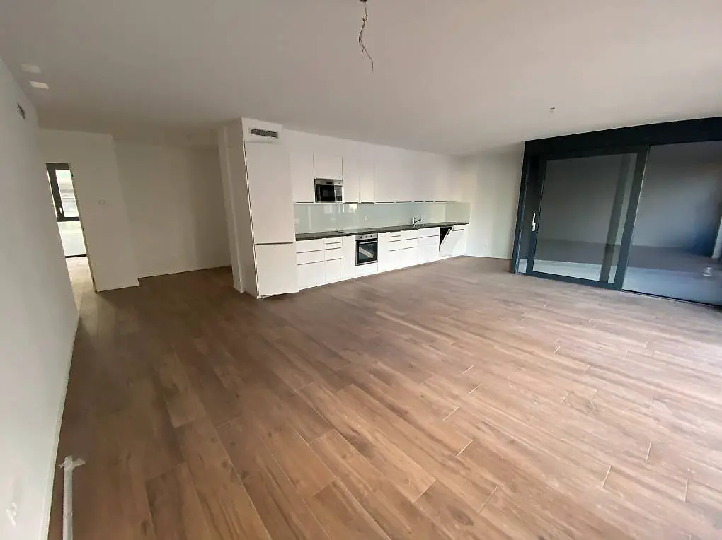 paradiso ampio 3,5 locali in affitto - zona centrale