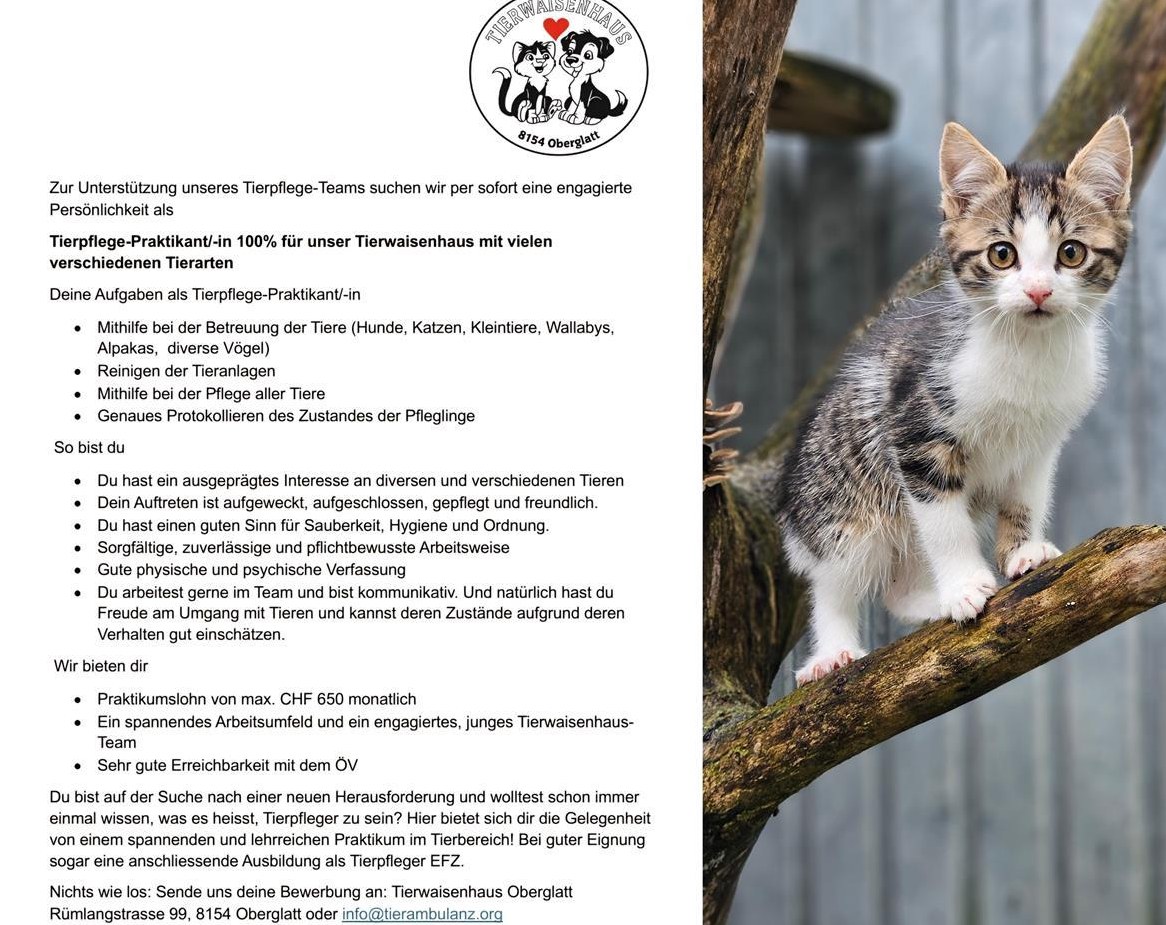 Suchen Tierpflege-Praktikant/-in 100% für unser Tierwaisenhaus